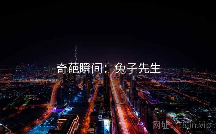奇葩瞬间:兔子先生 奇葩瞬间:兔子先生