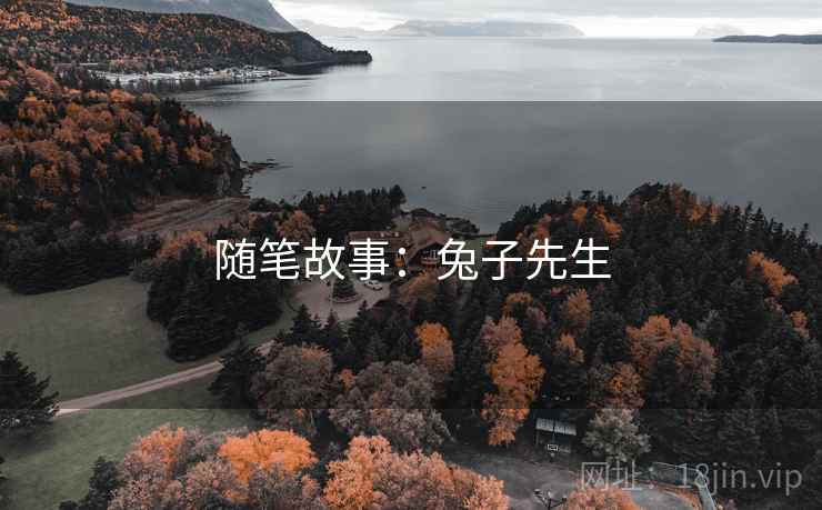 随笔故事:兔子先生 随笔故事:兔子先生