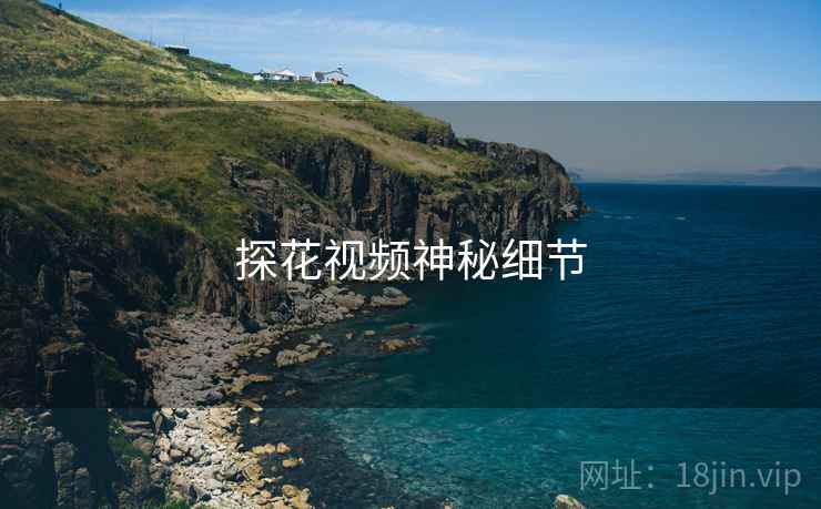 探花视频神秘细节 探花视频神秘细节