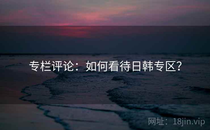 专栏评论:如何看待日韩专区? 专栏评论:如何看待日韩专区?