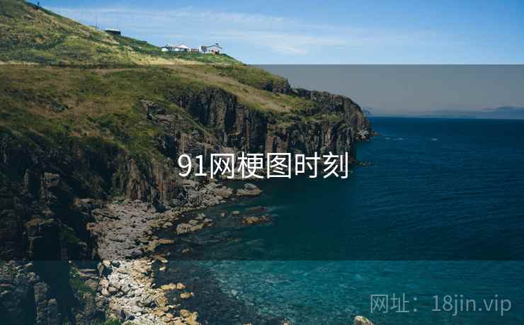 91网梗图时刻 91网梗图时刻