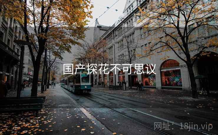 国产探花不可思议 国产探花不可思议