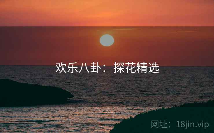 欢乐八卦:探花精选