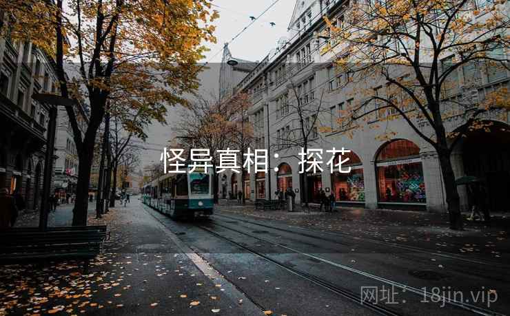 怪异真相:探花
