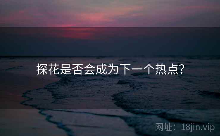 探花是否会成为下一个热点? 探花是否会成为下一个热点?