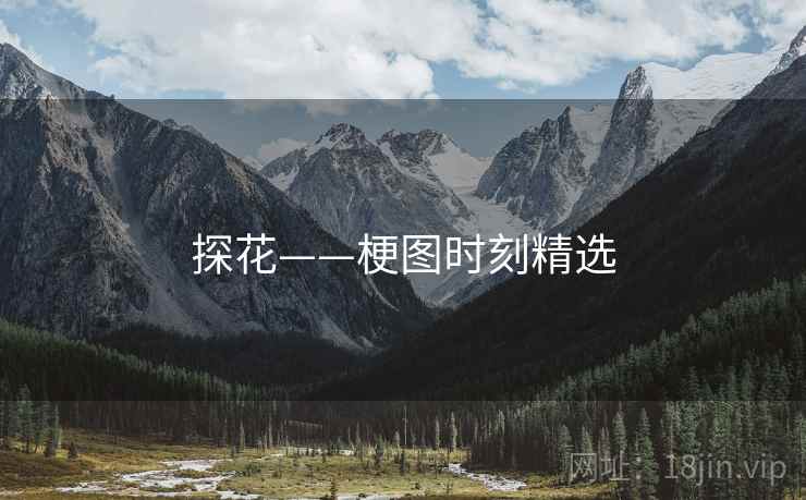 探花——梗图时刻精选 探花——梗图时刻精选
