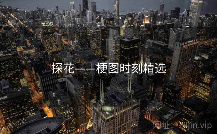 探花——梗图时刻精选 探花——梗图时刻精选
