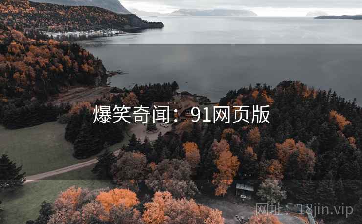 爆笑奇闻:91网页版 爆笑奇闻:91网页版