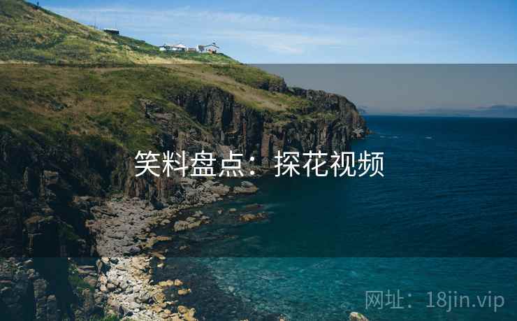 笑料盘点:探花视频