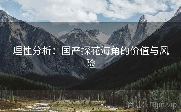 理性分析:国产探花海角的价值与风险