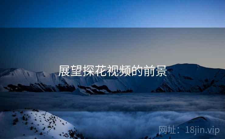 展望探花视频的前景