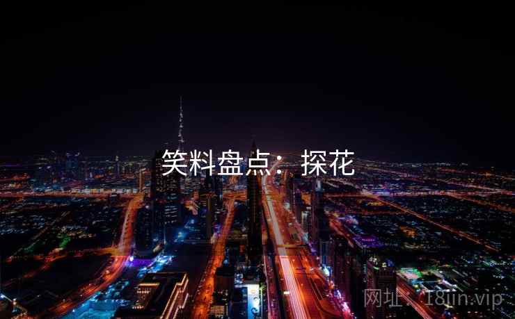 笑料盘点:探花 笑料盘点:探花